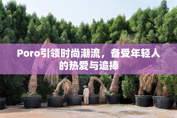 Poro引领时尚潮流，备受年轻人的热爱与追捧