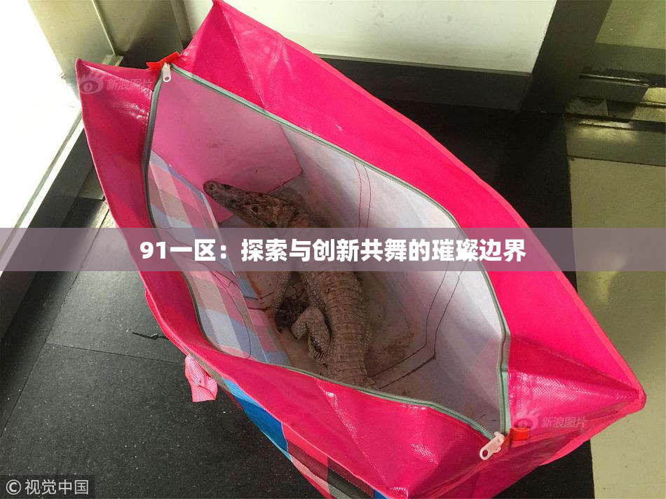 91一区：探索与创新共舞的璀璨边界