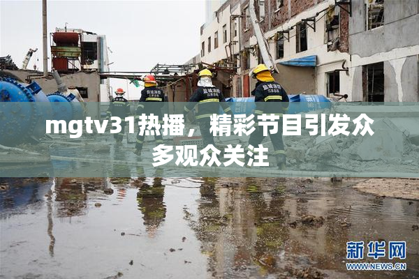 mgtv31热播，精彩节目引发众多观众关注