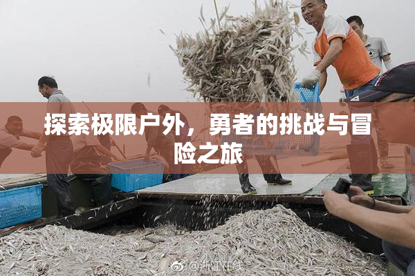 探索极限户外，勇者的挑战与冒险之旅