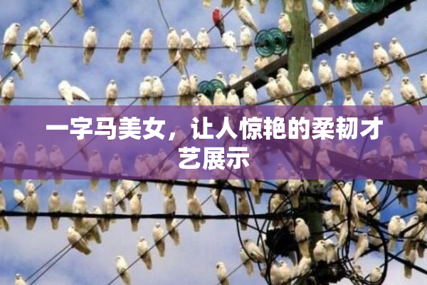 一字马美女，让人惊艳的柔韧才艺展示