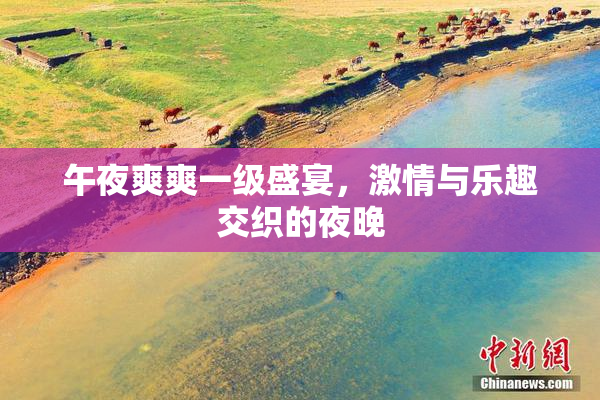 午夜爽爽一级盛宴，激情与乐趣交织的夜晚