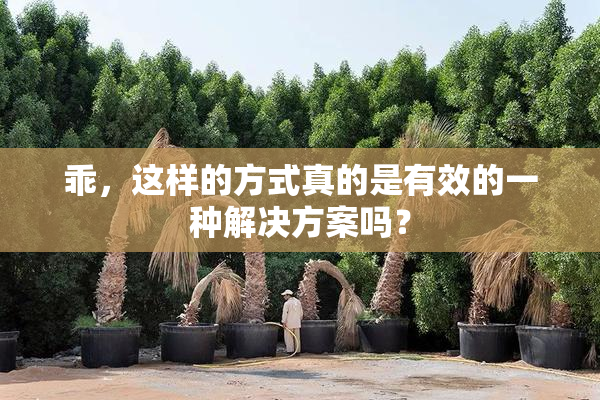 乖，这样的方式真的是有效的一种解决方案吗？