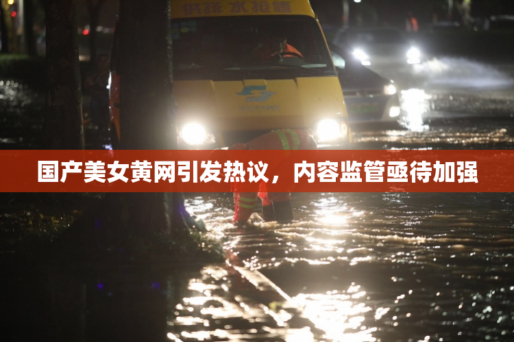 国产美女黄网引发热议，内容监管亟待加强