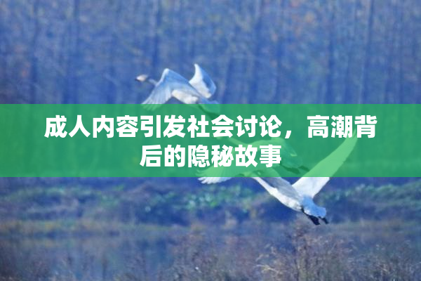 成人内容引发社会讨论，高潮背后的隐秘故事