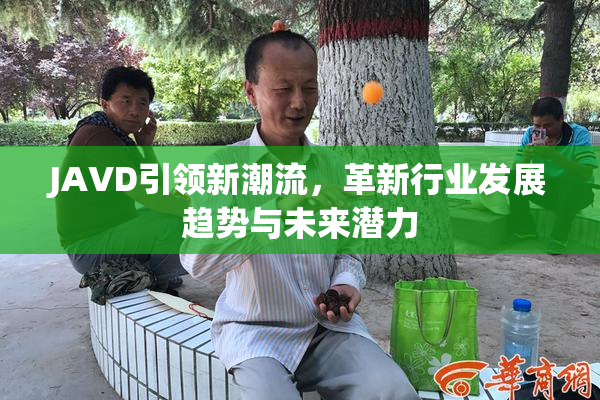 JAVD引领新潮流，革新行业发展趋势与未来潜力