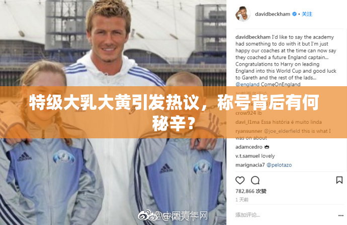 特级大乳大黄引发热议，称号背后有何秘辛？