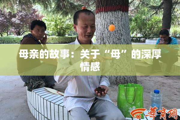母亲的故事：关于“母”的深厚情感