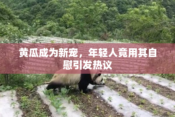 黄瓜成为新宠，年轻人竟用其自慰引发热议