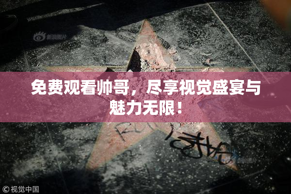 免费观看帅哥，尽享视觉盛宴与魅力无限！