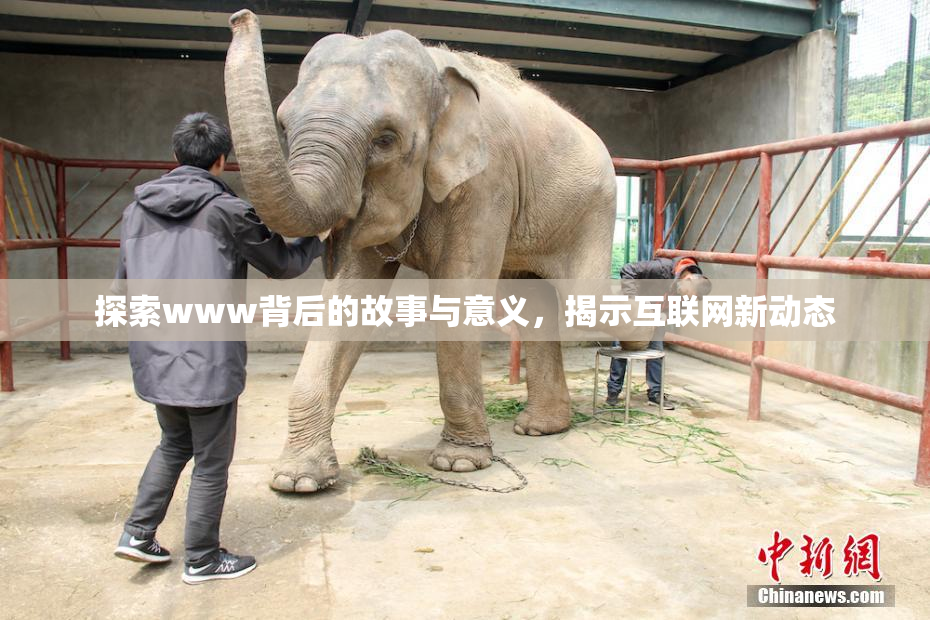 探索www背后的故事与意义，揭示互联网新动态