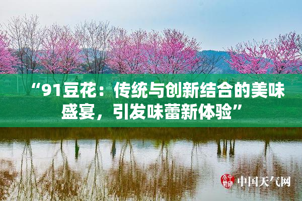 “91豆花：传统与创新结合的美味盛宴，引发味蕾新体验”