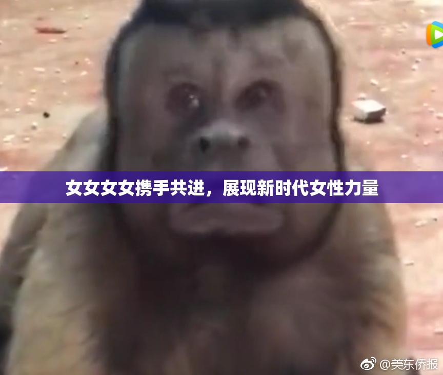 女女女女携手共进，展现新时代女性力量