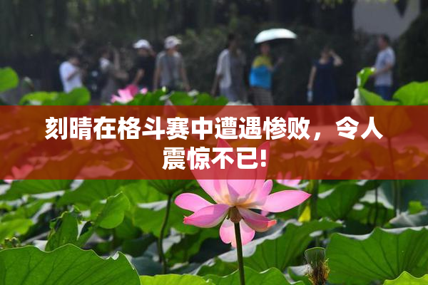 刻晴在格斗赛中遭遇惨败，令人震惊不已!