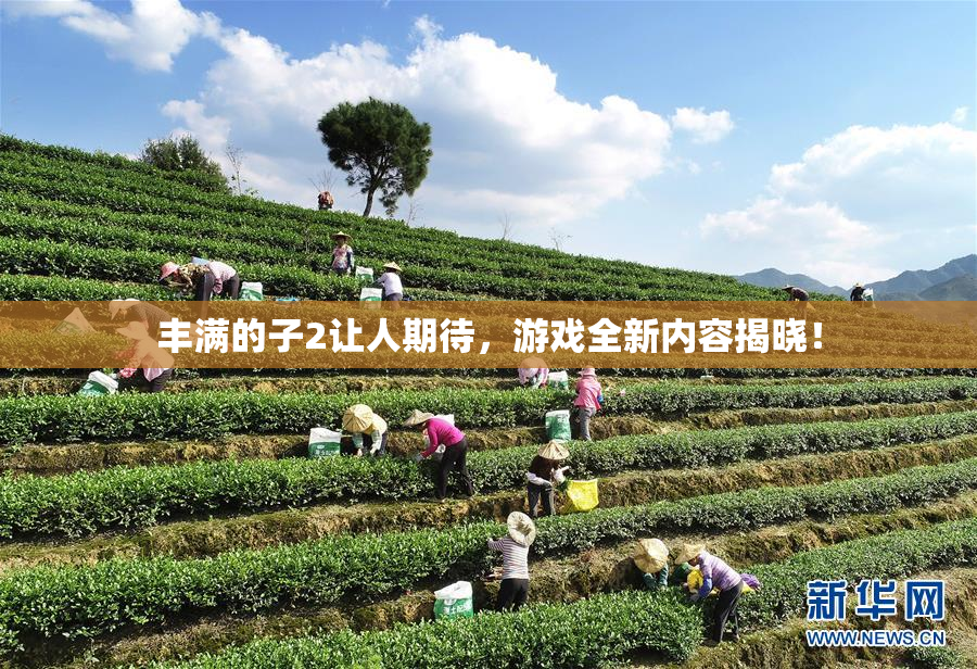 丰满的子2让人期待，游戏全新内容揭晓！