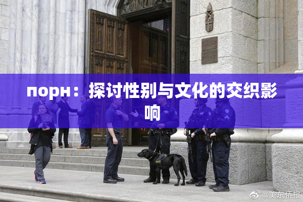 порн：探讨性别与文化的交织影响