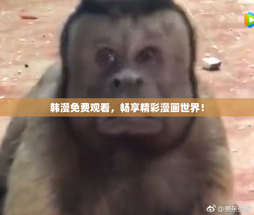 韩漫免费观看，畅享精彩漫画世界！
