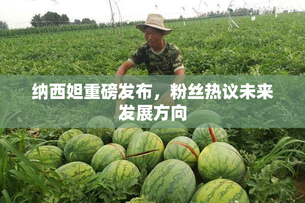 纳西妲重磅发布，粉丝热议未来发展方向