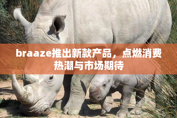 braaze推出新款产品，点燃消费热潮与市场期待
