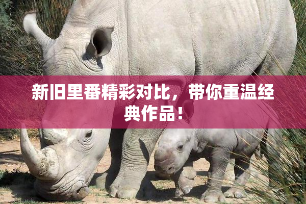 新旧里番精彩对比，带你重温经典作品！