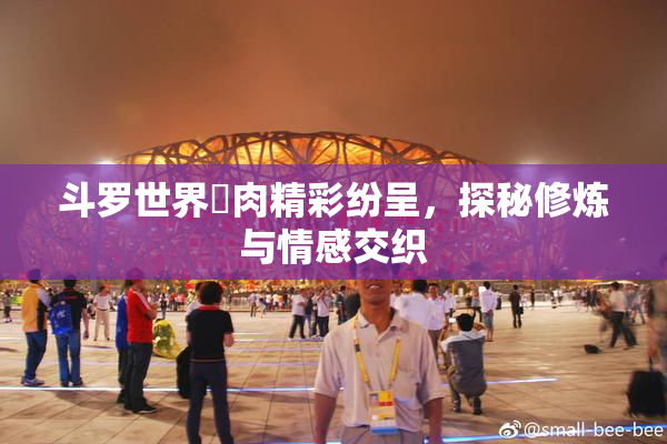 斗罗世界婬肉精彩纷呈，探秘修炼与情感交织