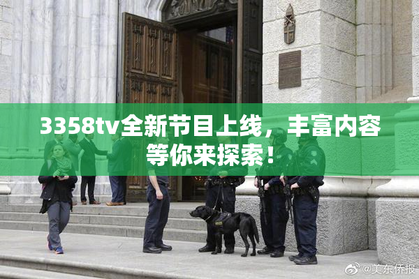 3358tv全新节目上线，丰富内容等你来探索！