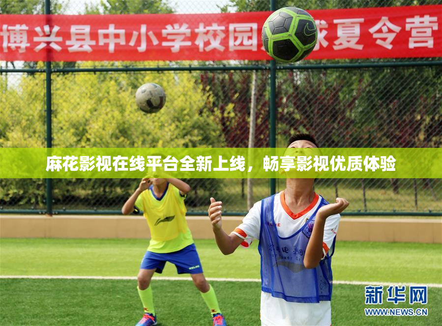 麻花影视在线平台全新上线，畅享影视优质体验