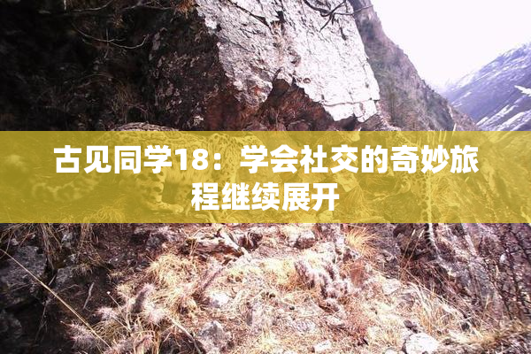 古见同学18：学会社交的奇妙旅程继续展开