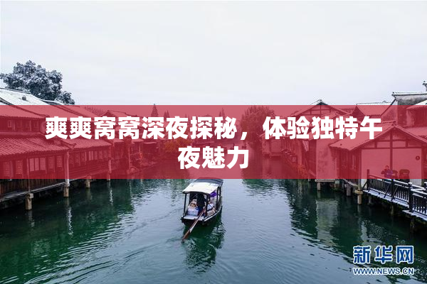 爽爽窝窝深夜探秘，体验独特午夜魅力