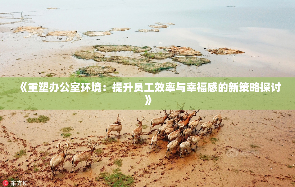 《重塑办公室环境：提升员工效率与幸福感的新策略探讨》