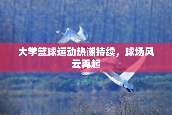 大学篮球运动热潮持续，球场风云再起