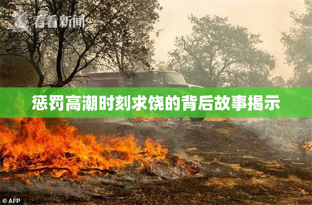 惩罚高潮时刻求饶的背后故事揭示