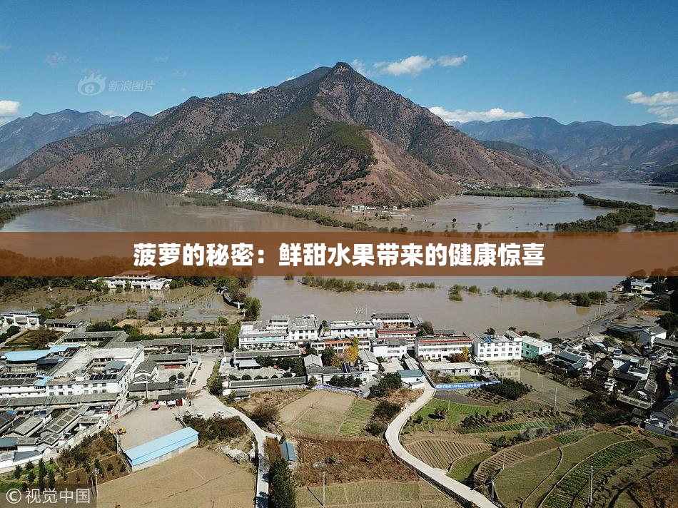 菠萝的秘密：鲜甜水果带来的健康惊喜