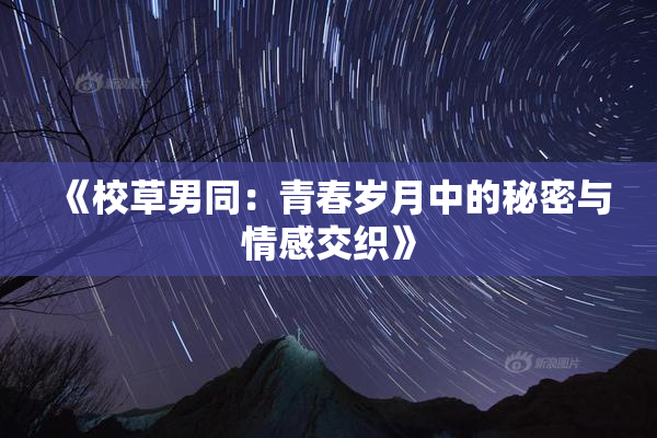 《校草男同：青春岁月中的秘密与情感交织》