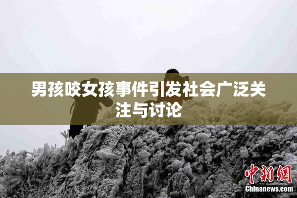 男孩咬女孩事件引发社会广泛关注与讨论