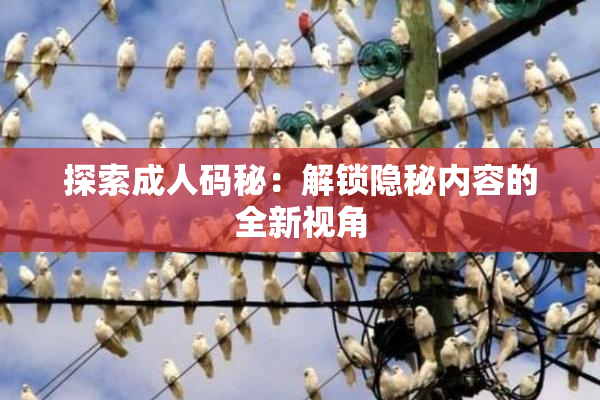 探索成人码秘：解锁隐秘内容的全新视角