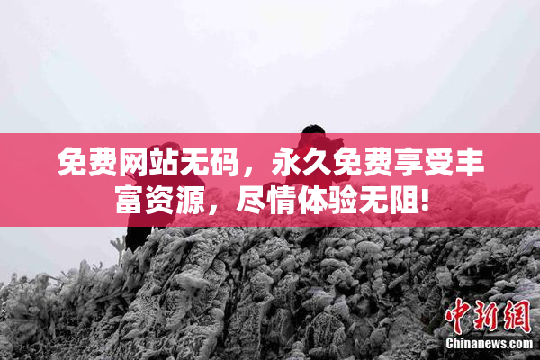免费网站无码，永久免费享受丰富资源，尽情体验无阻!