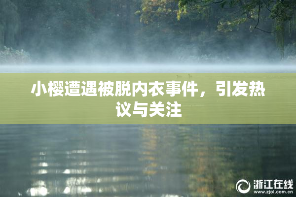 小樱遭遇被脱内衣事件，引发热议与关注