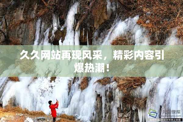 久久网站再现风采，精彩内容引爆热潮！
