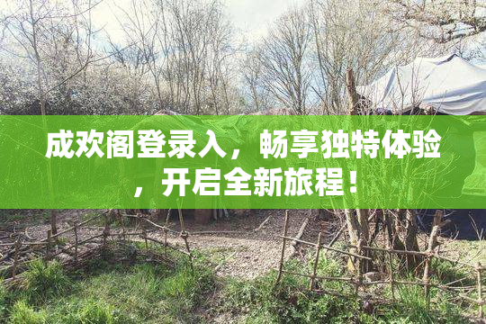 成欢阁登录入，畅享独特体验，开启全新旅程！