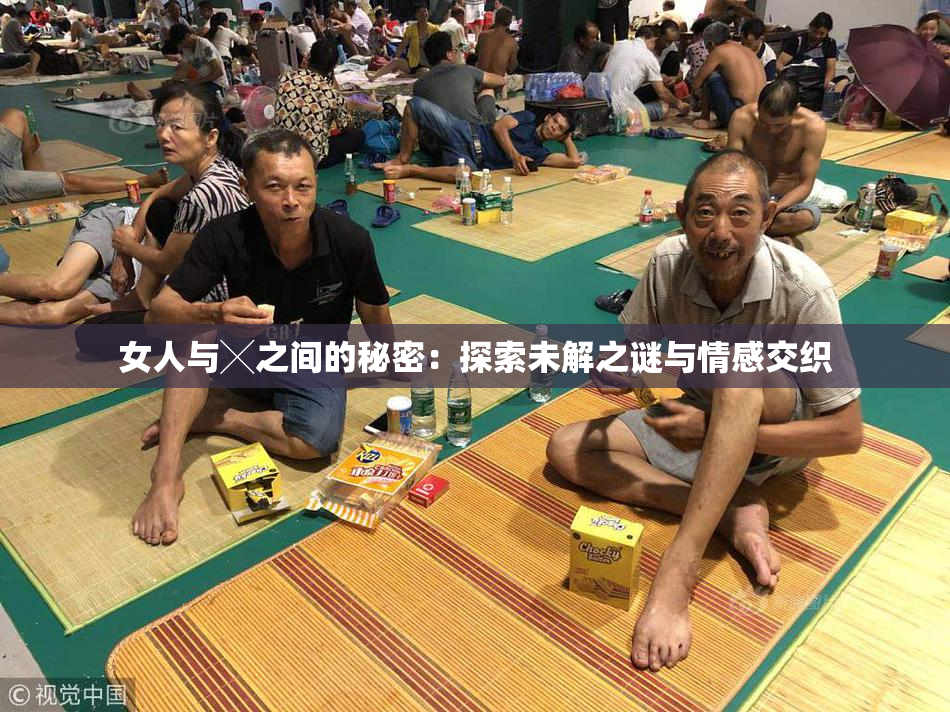 女人与╳之间的秘密：探索未解之谜与情感交织