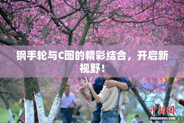 钢手轮与C图的精彩结合，开启新视野！