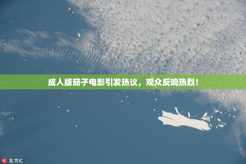 成人版茄子电影引发热议，观众反响热烈！