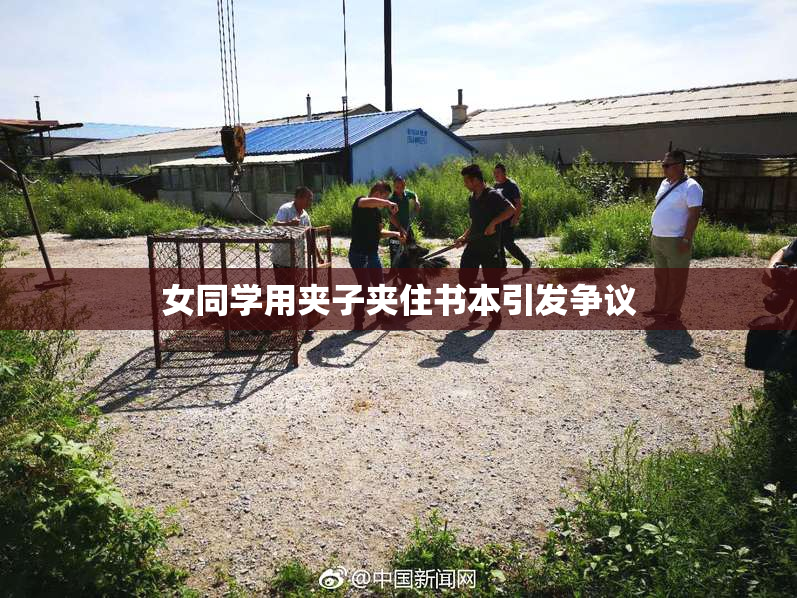 女同学用夹子夹住书本引发争议