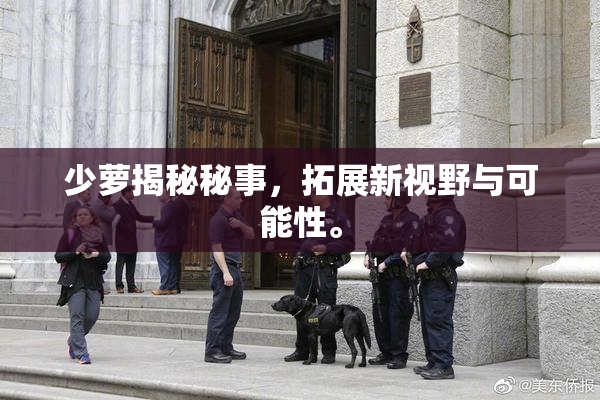 少萝揭秘秘事，拓展新视野与可能性。