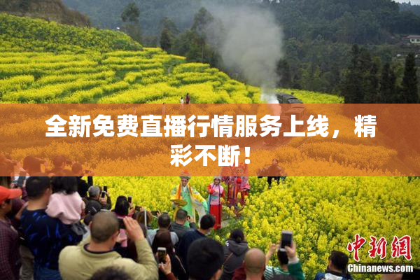 全新免费直播行情服务上线，精彩不断！