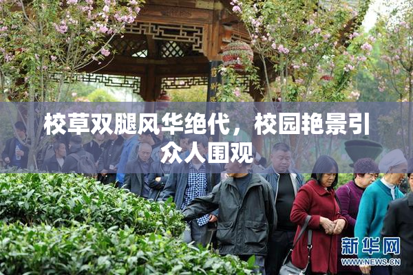 校草双腿风华绝代，校园艳景引众人围观