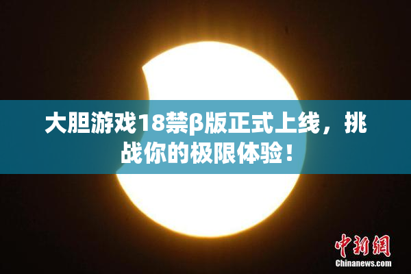 大胆游戏18禁β版正式上线，挑战你的极限体验！