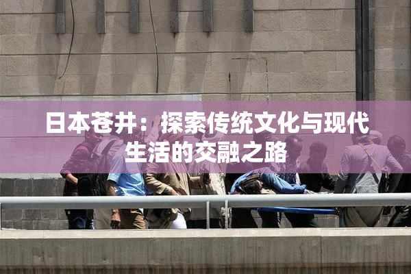 日本苍井：探索传统文化与现代生活的交融之路