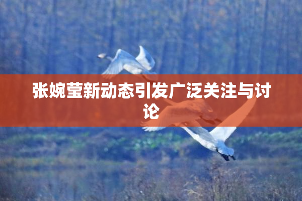 张婉莹新动态引发广泛关注与讨论